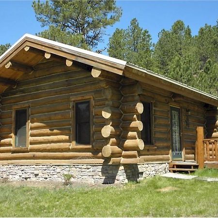 Willa Renegade Log Cabin Custer Zewnętrze zdjęcie