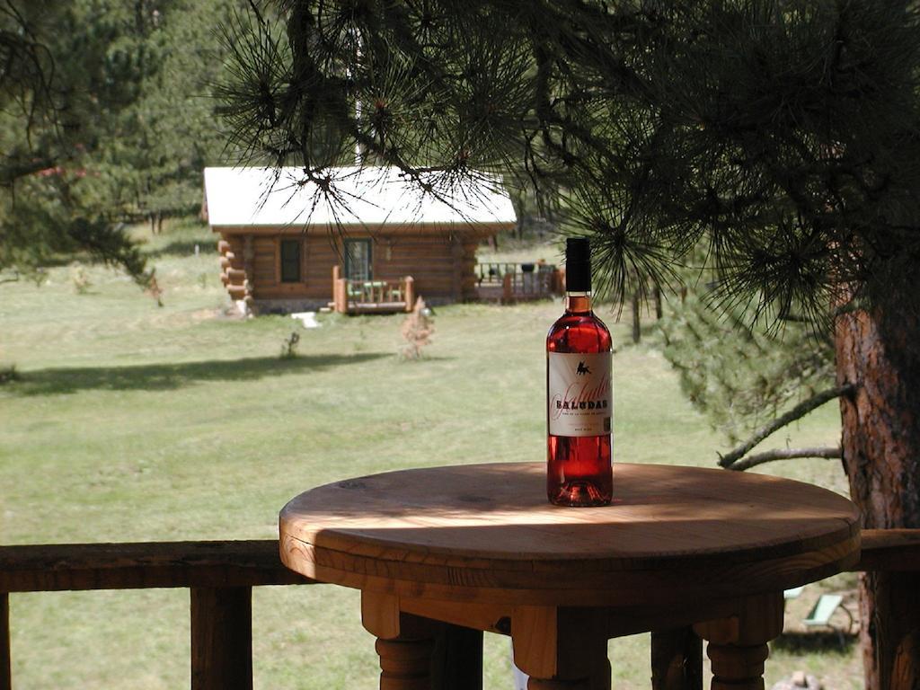 Renegade Log Cabin Custer Zewnętrze zdjęcie