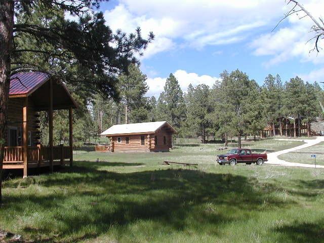 Willa Renegade Log Cabin Custer Zewnętrze zdjęcie